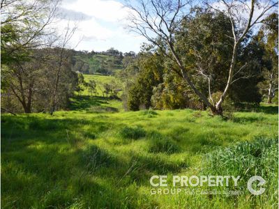 38 Hollands Creek Road, Cudlee Creek