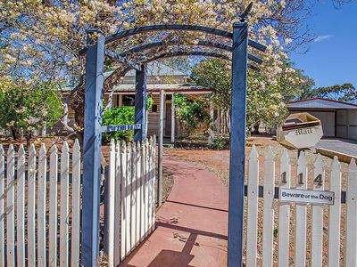 114 Wittenoom Street, West Lamington