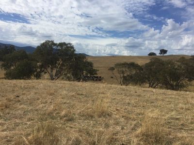 . Sandy Creek Road, Sandy Creek