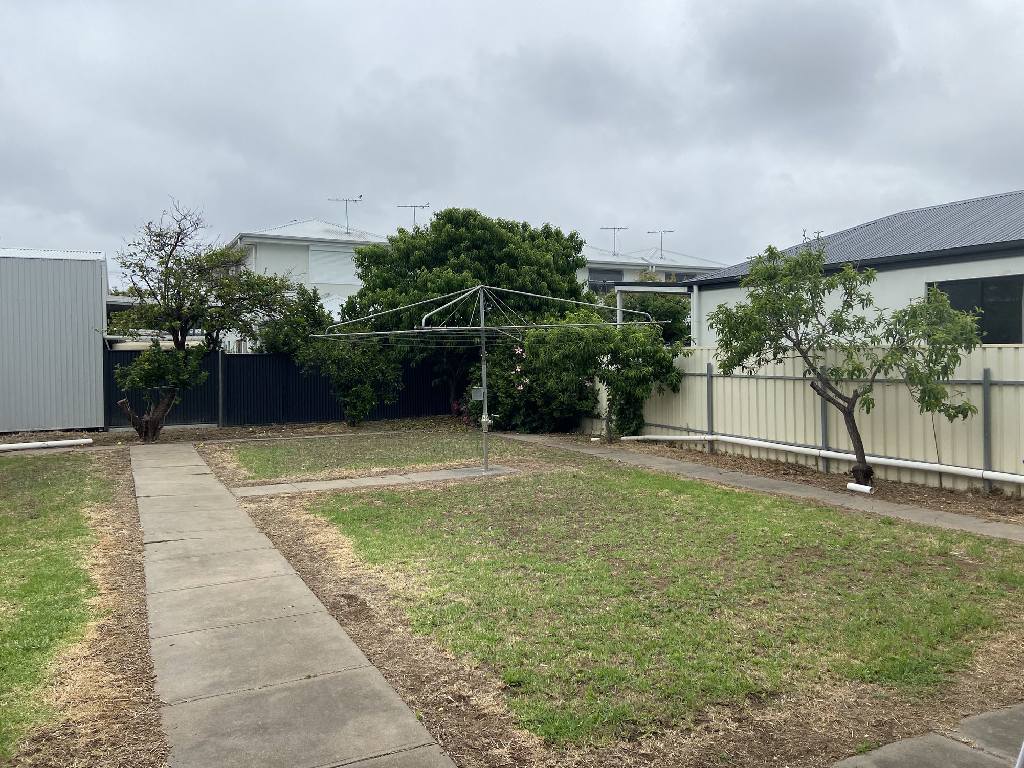 12 Basnett Street, Kurralta Park