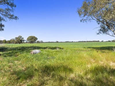 1098 Bearii East Road, Strathmerton