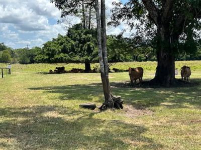 0 Bruce Highway, Sandy Pocket