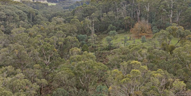 Lot 1 & 2 McCombes Road, Creek Junction