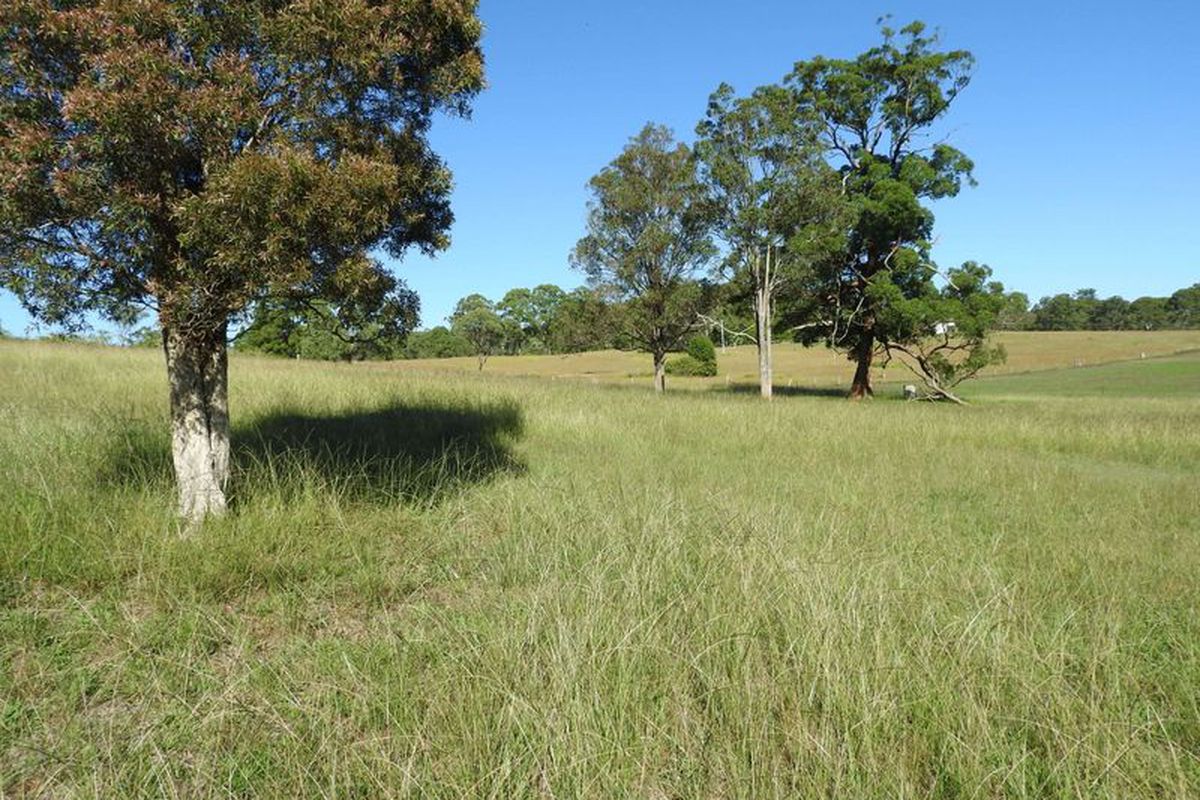 Tinonee