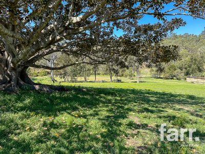 388 Swan Gully Road, Bromelton