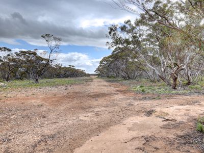 1439 Bowhill Road, Ettrick