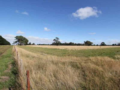 6A-6B Exchequer Road, Cape Clear