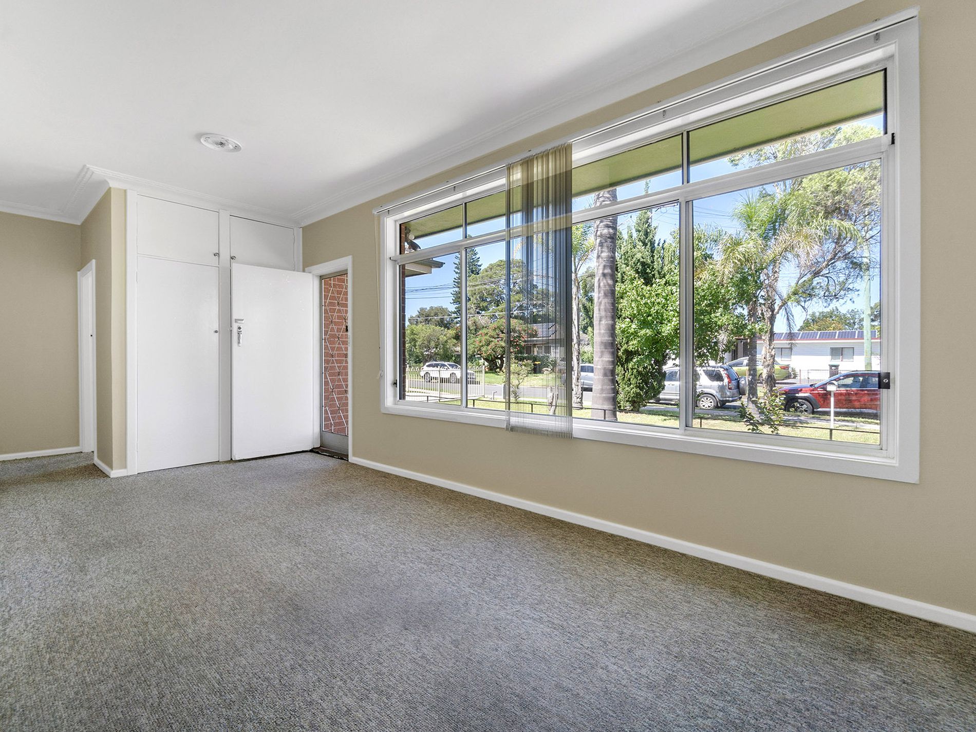 19 Patricia Street, Colyton