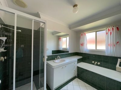 58 Bowerbird Avenue, Eli Waters