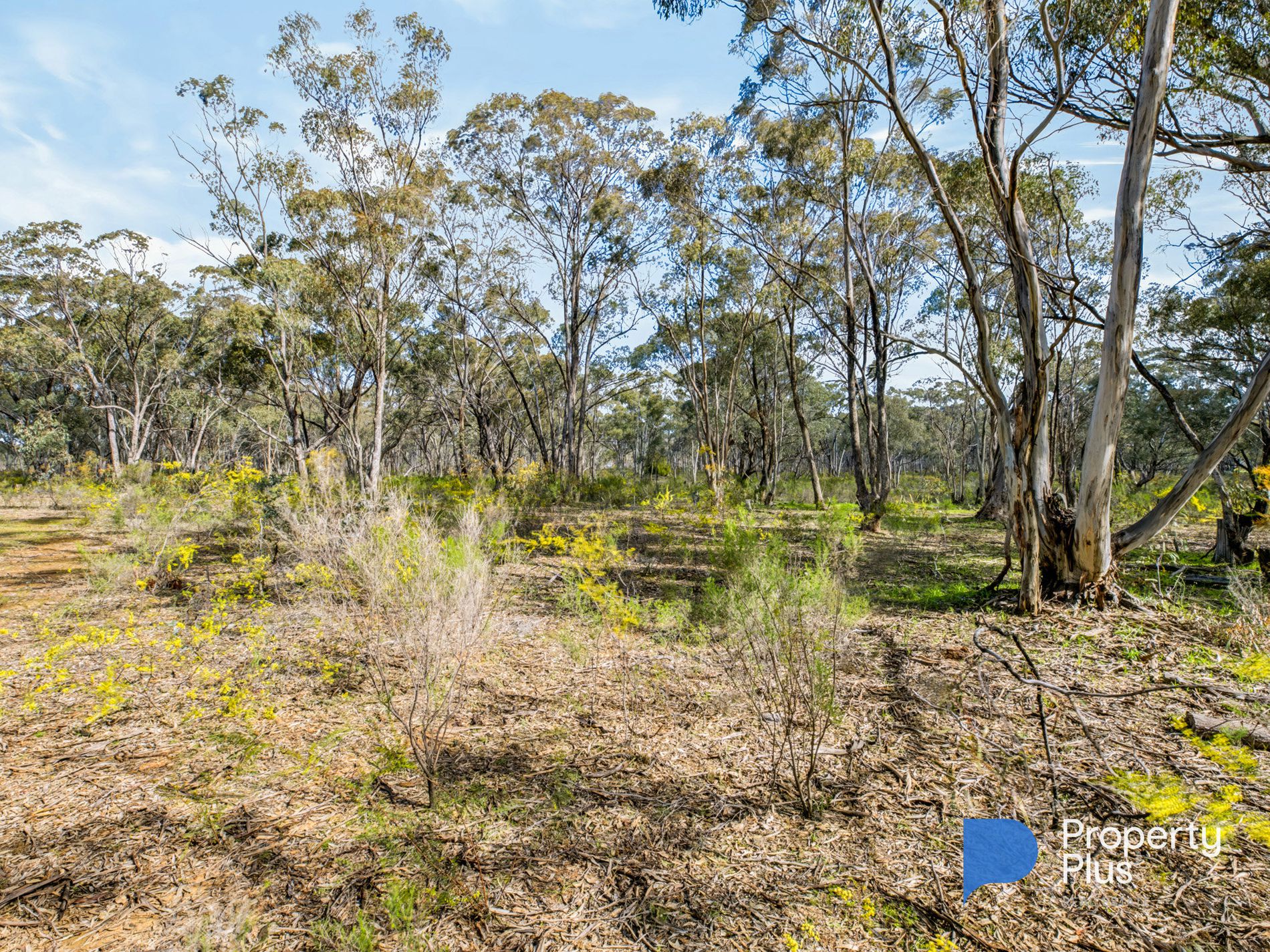 112 Aughaderry Berrimal Wedderburn road , Berrimal