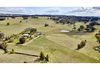 93 Caves Creek Road, Orange