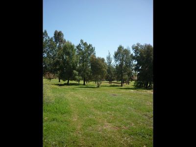36 Lakeside Circuit, Dubbo