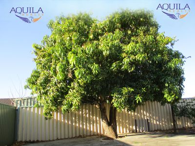 16 Percheron Entrance, Stratton