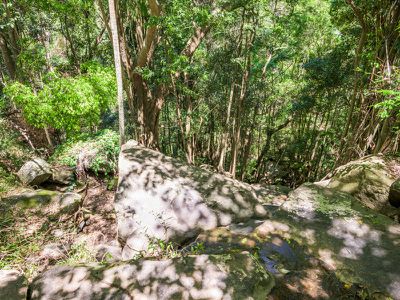 138 Gerrard Road, Eudlo