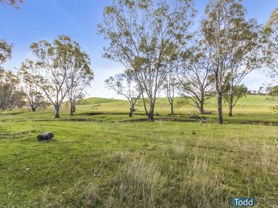 Watkins Lane, Heathcote