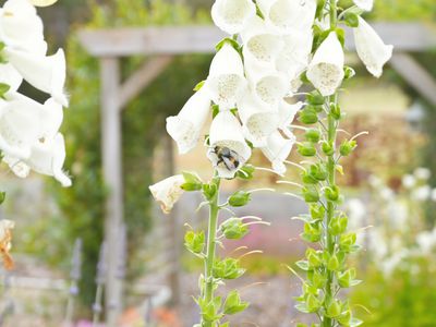 22 Linnells Road, Huonville