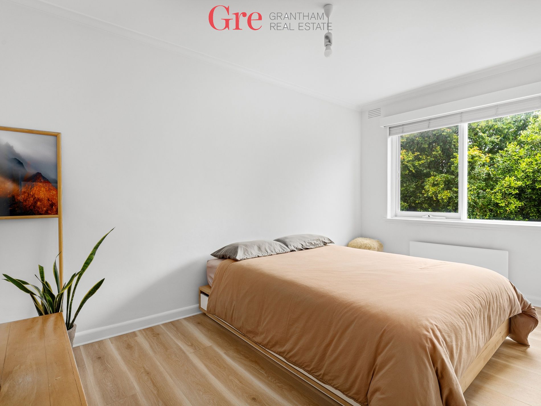 Ascot Vale Grantham Real Estate