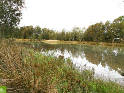 118 Koona St, Albion Park Rail