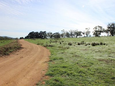 Jerry's Falls Road, Sodwalls