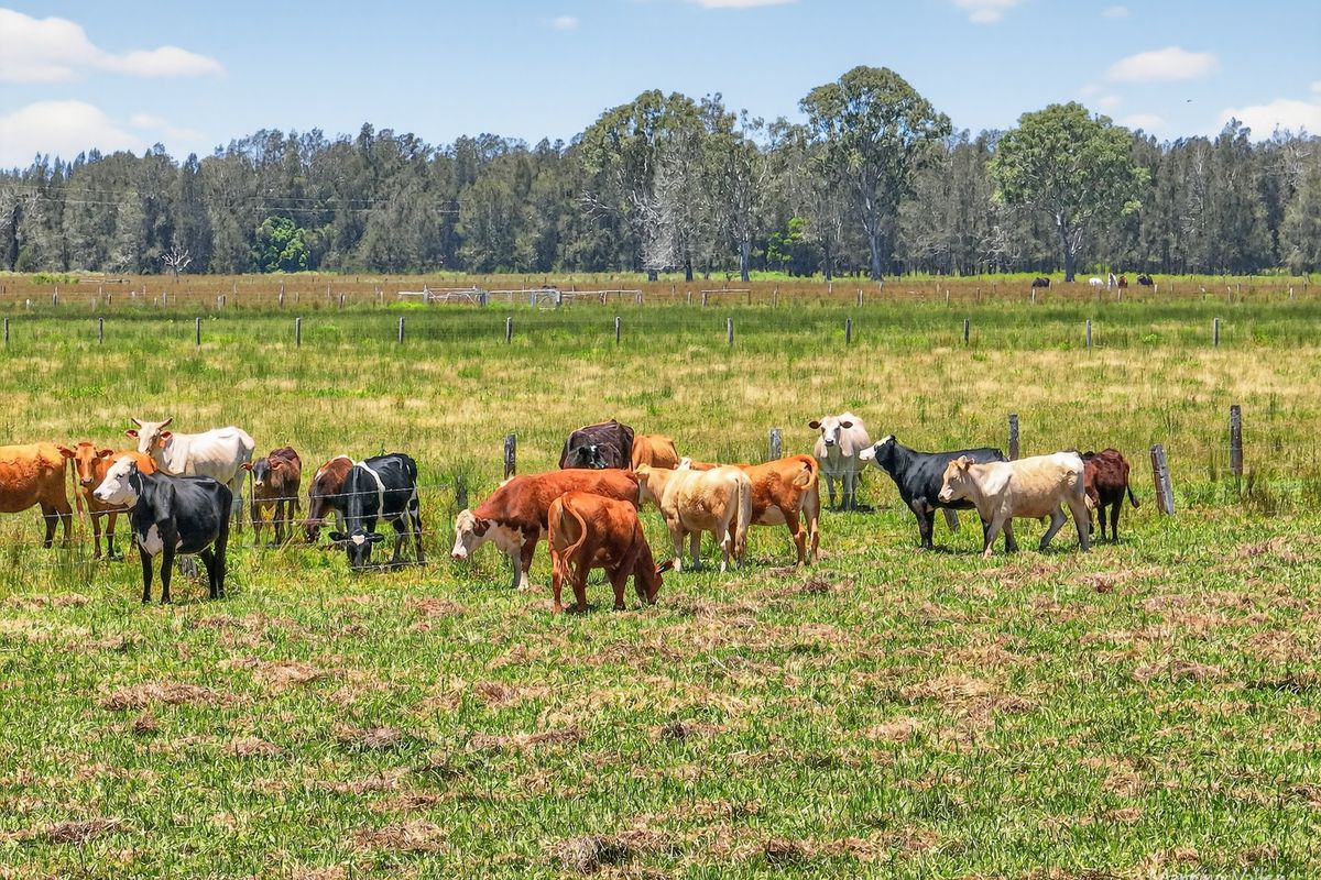 18 Clovernook Drive, Cundletown
