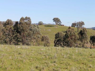 545 Hardings Lane, Tooborac