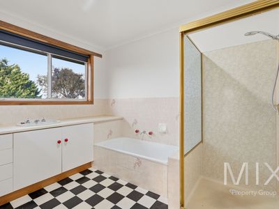 20 Jordan Downs Drive, Brighton