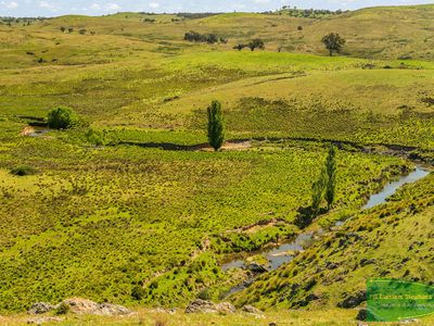 351 Shepherds Creek Road, Euchareena