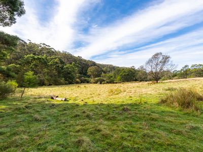 21 Eucalyptus Lane, Lochiel