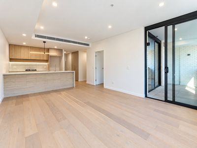 411 / 219-231 Botany Road, Waterloo