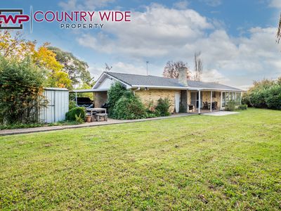 51 Church Street, Glen Innes