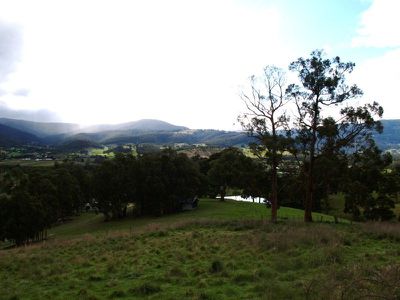 Allens Road, Grove