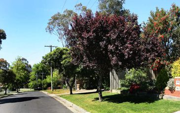 5 Slingsby Avenue, Beaconsfield
