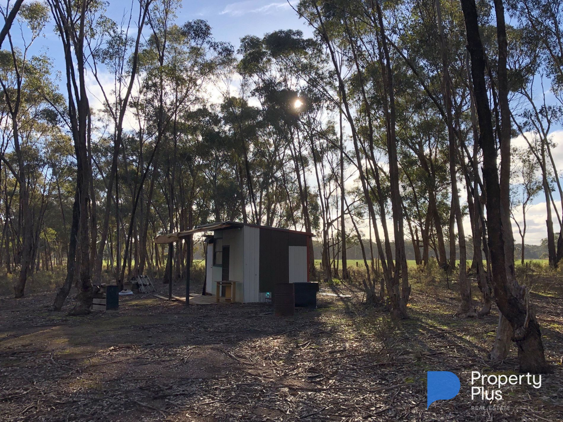 59 Palmer Road, Simson