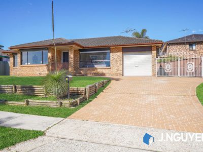 20 Broadmeadows Street, St Johns Park
