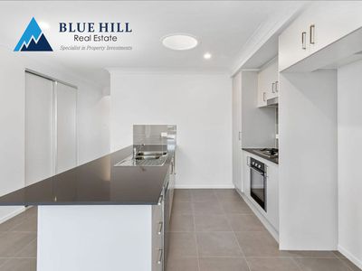 81 Dairyman Drive, Raymond Terrace