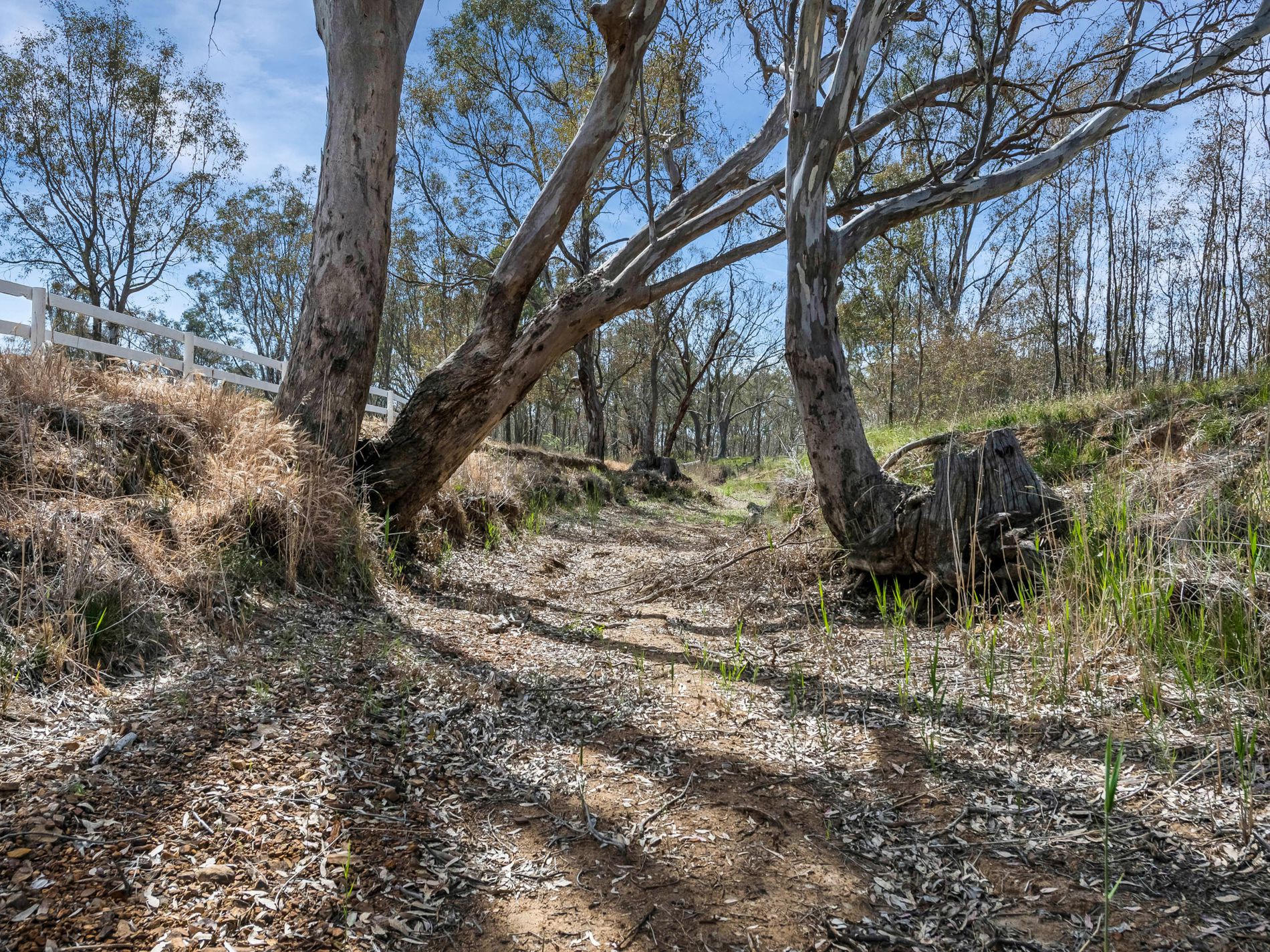 818 Heathcote-Rochester Road, Heathcote