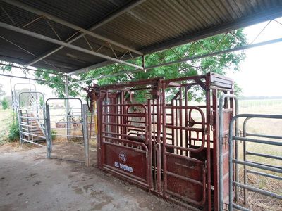 Londrigan-Tarrawingee Road, Londrigan
