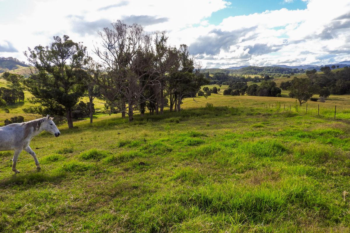 678 Bunyah Road, Coolongolook