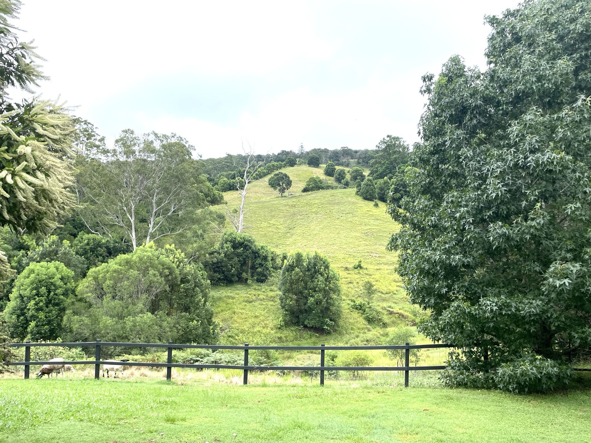 7 Wangrah Lane, Cooran