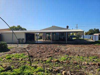 13 Pollock, Merredin