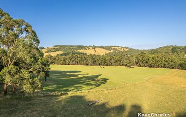 55 Leppitt Road, Pakenham
