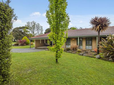 16 Gardiner Street, Gisborne