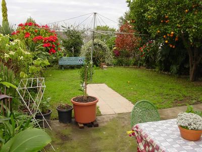 38 Forest Road, Arncliffe