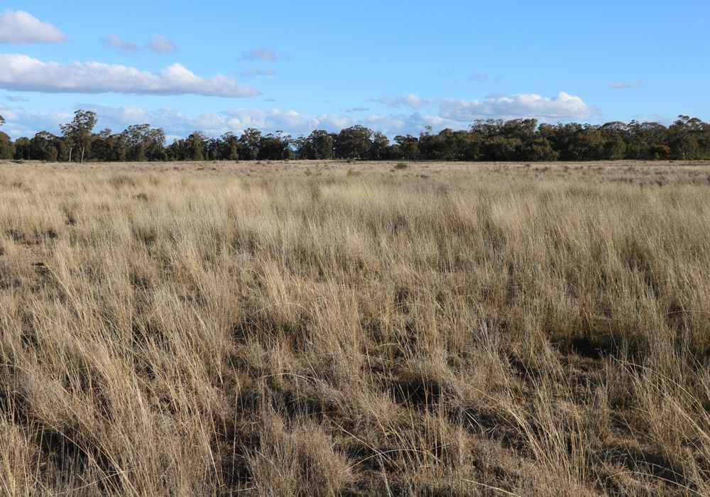 Back Trundle Road, Parkes