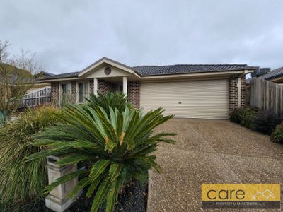8 Sigvard Boulevard, Hallam
