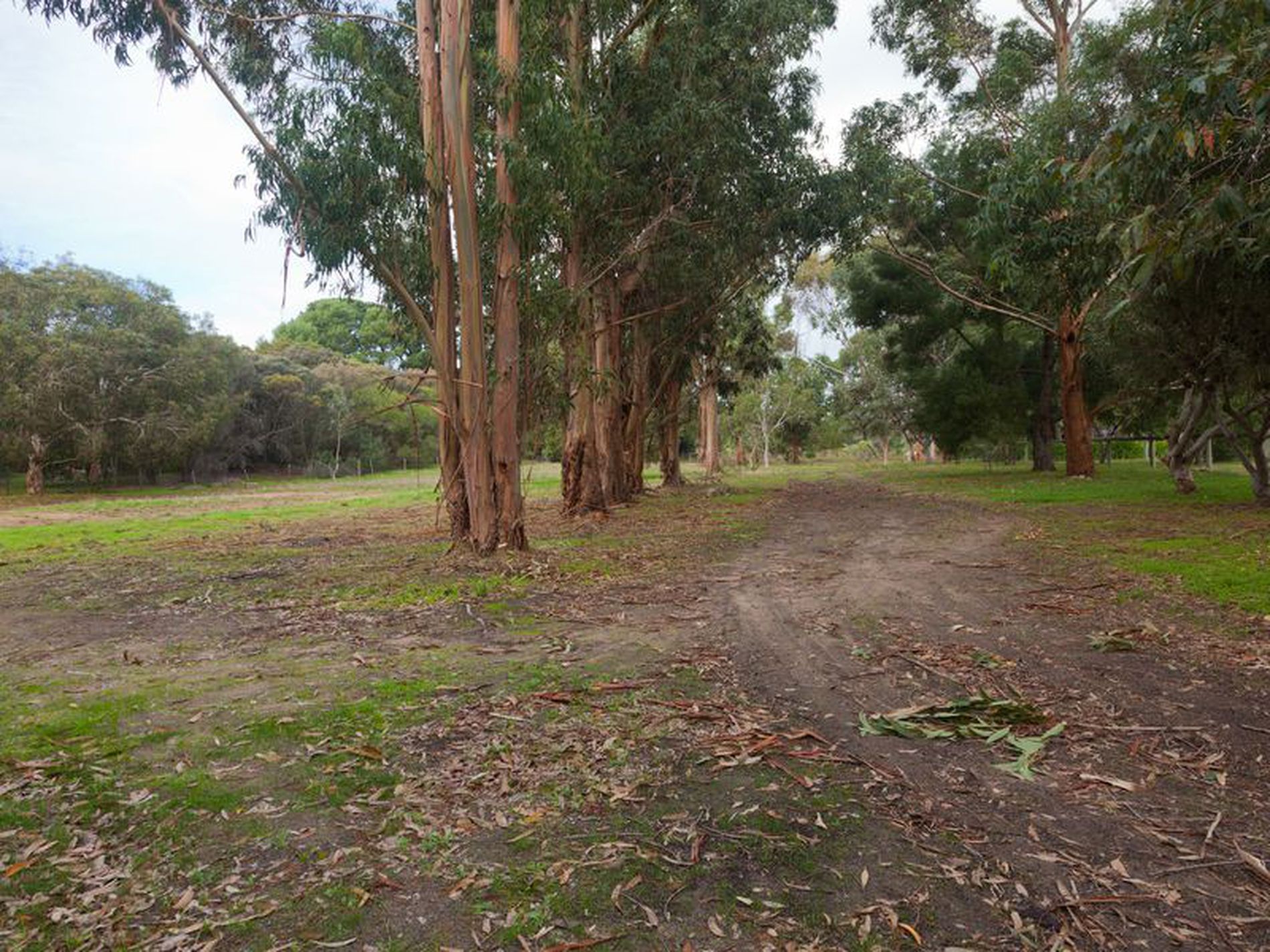 36 Hakea Drive, Millicent