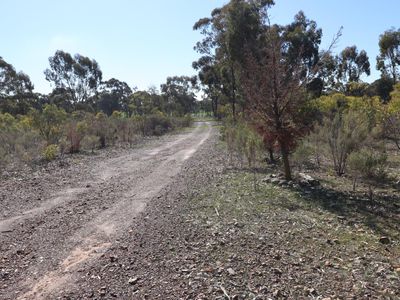 LOT 5  LOT 5  Tait Hamilton Road, Cornella