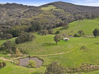 2115 HIGHLANDS ROAD, Whiteheads Creek