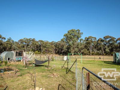 5368 Strathbogie Road, Emmaville