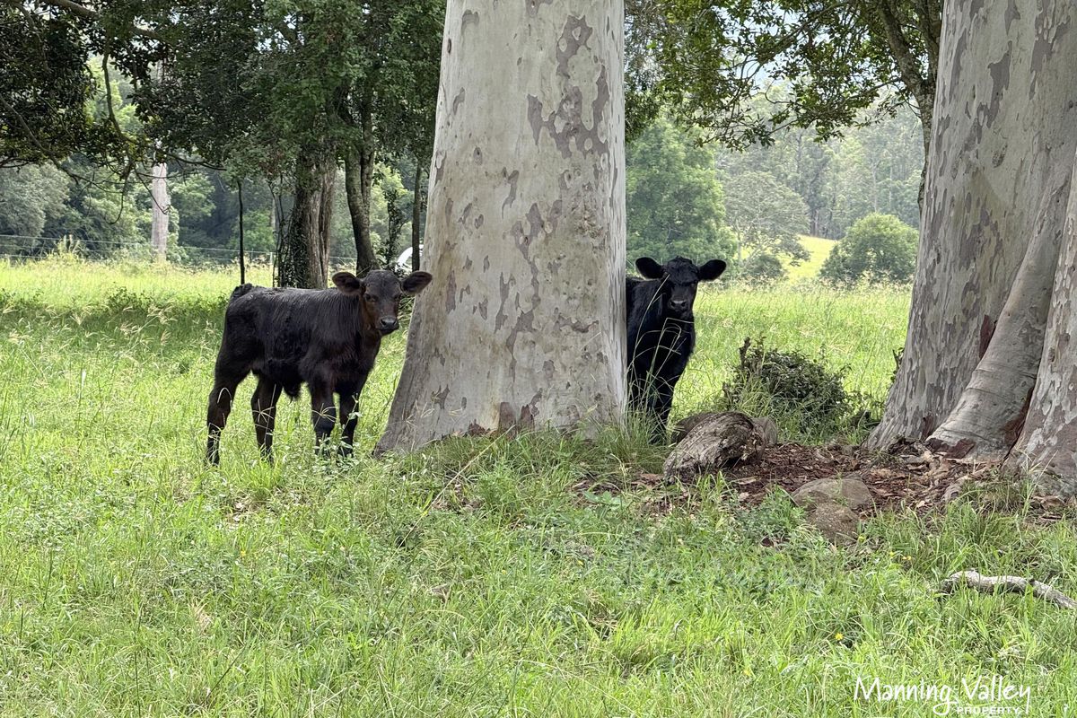 158 Somerset Road, Kimbriki